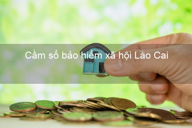 Cầm sổ bảo hiểm xã hội Lào Cai